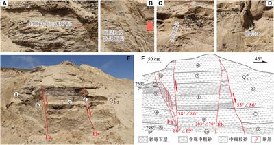 Insights into the late Cenozoic structural deformation and tectonic stress field of the Qiabuqia region, Gonghe Basin, northeastern Qinghai–Tibetan Plateau